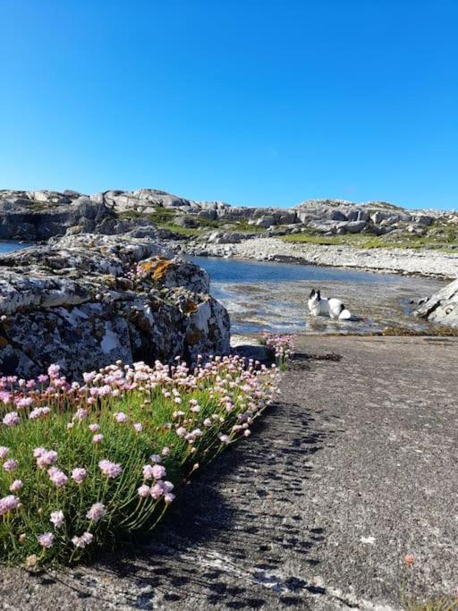 Furthest Point West Apartment Galway Bagian luar foto