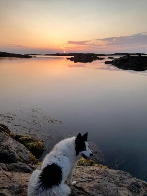 Furthest Point West Apartment Galway Bagian luar foto