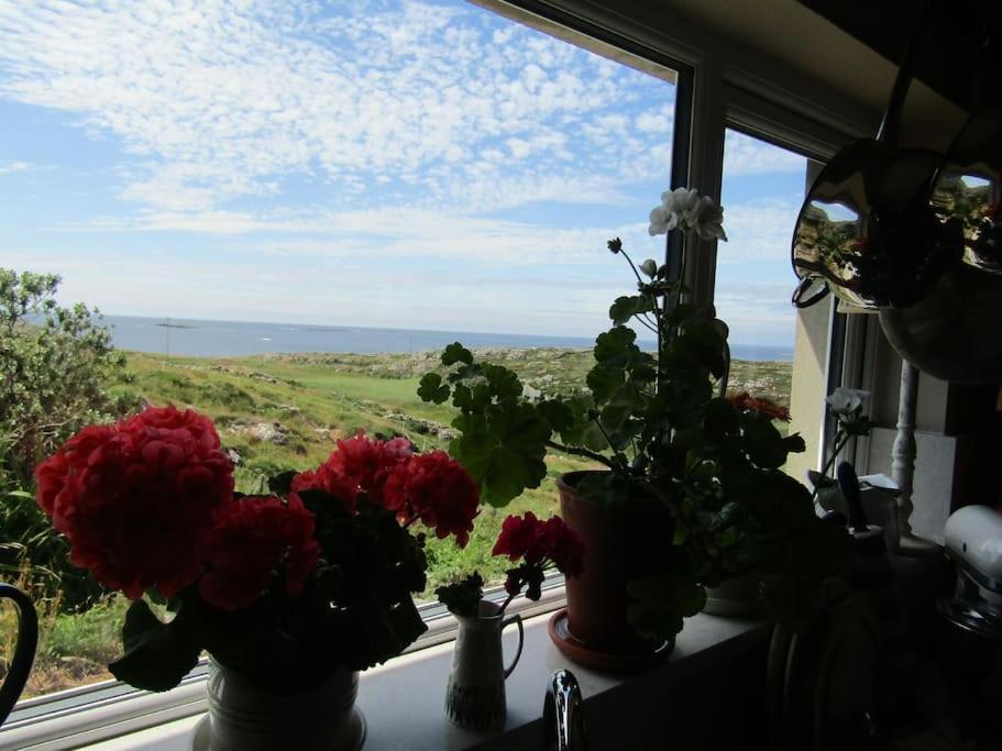 Furthest Point West Apartment Galway Bagian luar foto