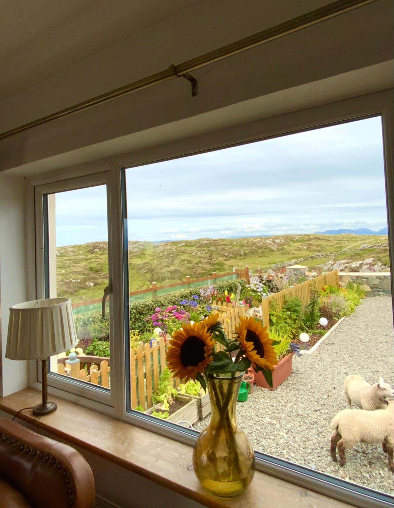 Furthest Point West Apartment Galway Bagian luar foto